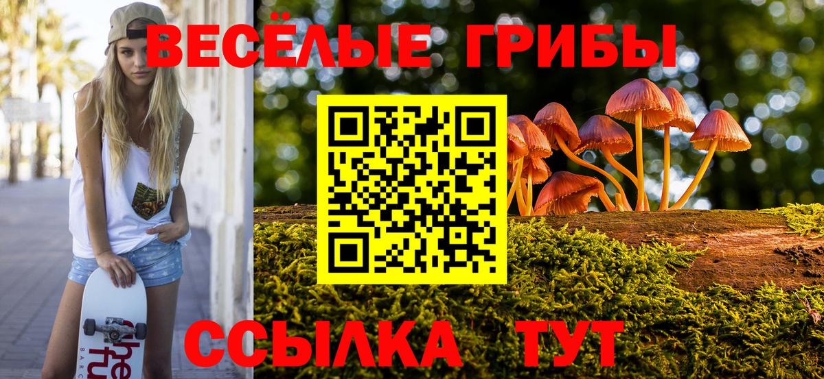 Ейск  Псилоцибиновые грибы Cubensis  Вход с VPN 